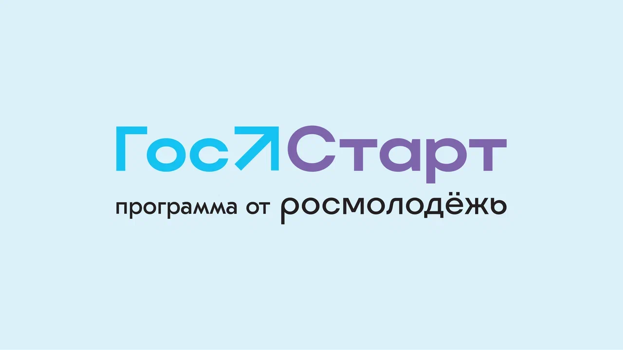 Стажировка в рамках проекта  «ГосСтарт»
